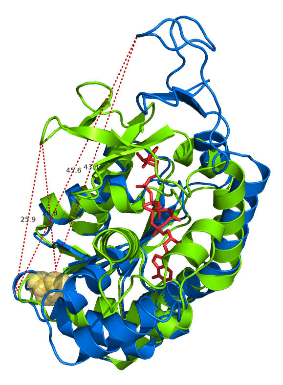 Adenylate Kinase
