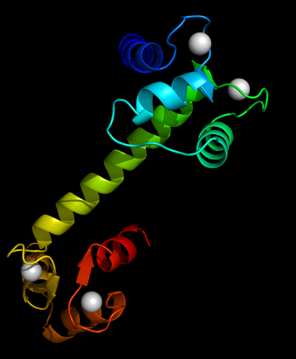Calmodulin Ca